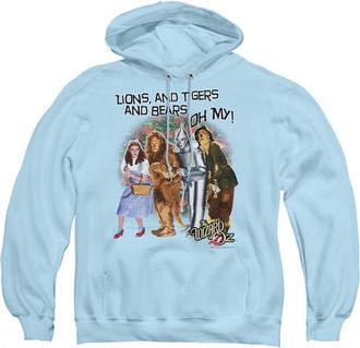 Gildan Wizard Of Oz Oh My Adult Pull Over Hoodie / Hooded Sweatshirt
