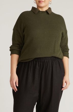 Universal Standard Positano Cotton Pointelle Sweater in Camo Green at Nordstrom, Size Xxx-Large