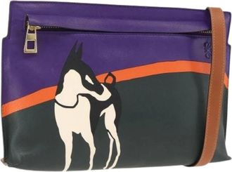 Loewe Pre-owned Cross Body Bags, female, Multicolor, Size: ONE SIZE Pre-owned Leather Shoulder Bag