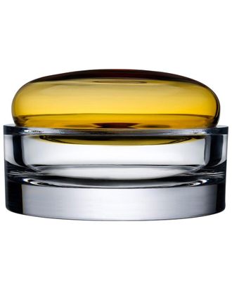 Nude Glass Medium Ecrin Storage Box