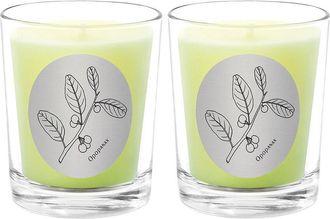 Qualitas Opopanax Two Scented Beeswax Candle Set