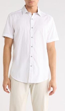 Robert Graham Stretch Cotton Button-Up Shirt in White at Nordstrom Rack, Size Xxx-Large