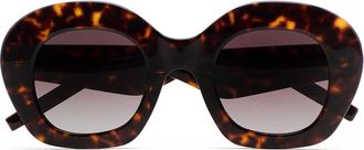 Kaleos Davies C2 Mens Sunglasses Tortoiseshell Size 48