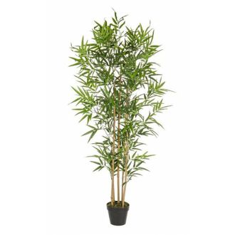 BIZZOTTO Bizzotto - 2x Planta De Bamb&uacute; C-jarr&oacute;n H155cm