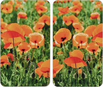 WENKO Champ De Coquelicots Placas Protectoras Transparentes