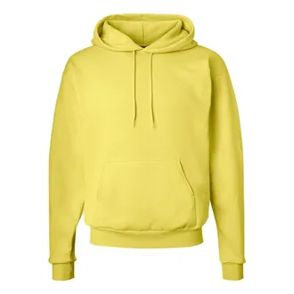 Hanes Ecosmart Hooded Sweatshirt