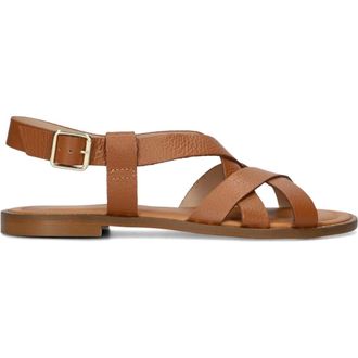 Stefano Lauran Dames, Schoenen, Bruin, Maat: 40 EU