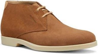 Stuart Weitzman Austin Oxford in Taupe at Nordstrom Rack, Size 10.5