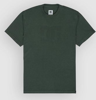 DC Star Pigment Dye T-Shirt verde