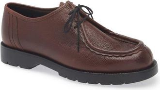 Kleman Padror Derby in Cafe at Nordstrom, Size 13Us