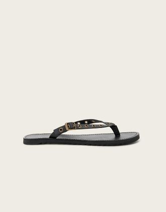 AllSaints Sydney - Sandali infradito in pelle neri con occhielli-Nero