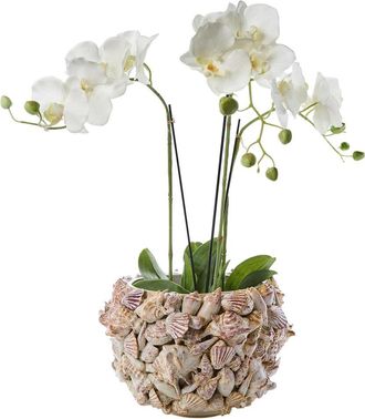 Tozai Home Twos Company 8.75In Shell Planter