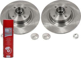 OEM Discos De Freno Traseros Con Rodamiento 2401100325b-pcs-ms 2 Unidades