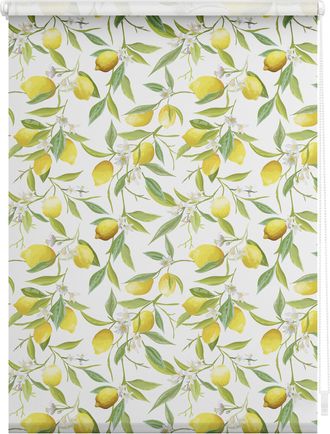 Lichtblick Original Seitenzugrollo »Rollo Klemmfix, ohne Bohren, Verdunkelung, Limone - Gelb Grün« verdunkelnd Verdunkelung energiesparend freihängend