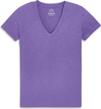 primary Adult Classic Slub V-Neck Tee in Violet at Nordstrom, Size X-Small