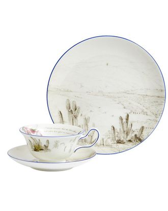 Wedgwood 3pc Darwin Voyage Of The Beagle Chile Teacup, Saucer & Plate Set