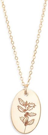 Set & Stones Louise Birth Flower Necklace in Gold /December at Nordstrom