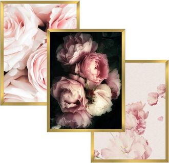 OEM Juego De Carteles De Pared 30x40 Marco Dorado Cuadros Para Sal&oacute;n Dormitorio Flores