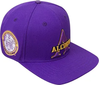 Pro Standard Mens Pro Standard Purple Alcorn State Braves Evergreen Primary Logo Snapback Hat at Nordstrom