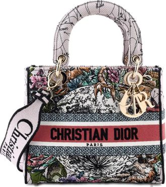 Dior Lady D-Lite Bag Embroidered Canvas Medium satchel - Veelkleurig