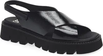 Pedro Garcia Reme Slingback Sandal in Black Castoro Naplack at Nordstrom, Size 11.5Us