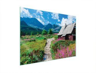 OEM Piastra Protettiva In Vetro Per Piano Cottura 70x52