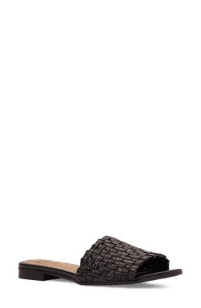 Aquatalia Brunello Weatherproof Slide Sandal in Espresso Woven at Nordstrom, Size 10.5