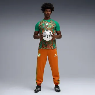 Puma Mens Puma Green Ivory Coast National Team Pre-Match Jersey at Nordstrom, Size Medium