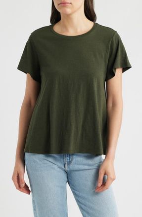 Eileen Fisher Crewneck Organic Cotton T-Shirt in Seaweed at Nordstrom, Size 1 X