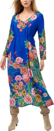 Johnny Was Tieni Silk Maxi Dress