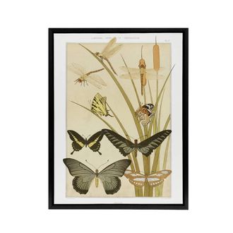 Artery8 Butterflies & Dragonflies Framed Canvas Wall Art Print Verneuil in Khaki | Size: W24 x H32