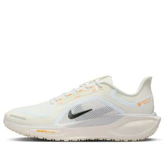Nike (WMNS) Nike Air Zoom Pegasus 41 GTX Beige FQ1357-102