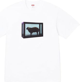 SUPREME x Damien Hirst T-shirt con stampa - Bianco