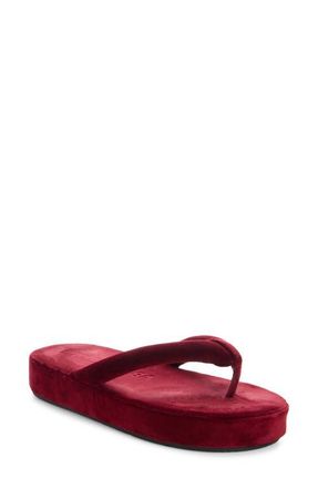 Balenciaga Jet Lag Velvet Platform Flip Flop in Flame at Nordstrom, Size 10Us