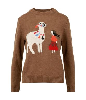 Weekend by Max Mara Max Mara Wochenendpullover Braun