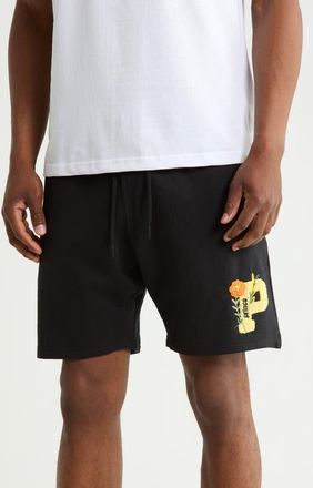 Prince Brushed Fleece Shorts in Black at Nordstrom, Size Medium
