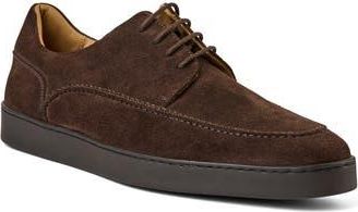 Bruno Magli Perseo Apron Toe Derby in Dark Brown Suede at Nordstrom Rack, Size 10.5