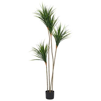 Beliani Planta Artificial En Maceta Para Interior Decoraci&oacute;n De Pl&aacute;stico Con Maceta Negra 165 Cm Dracaena Draco