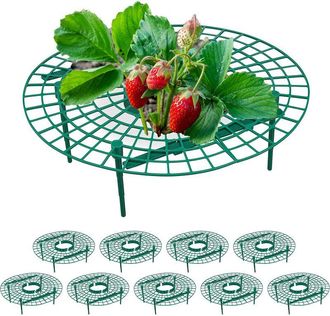 OEM Soportes Para Fresas, Paquete De 10, Protecci&oacute;n Contra La Pudrici&oacute;n Y Las Babosas, Para Plantas De Fresa, Pl&aacute;stico, Verde