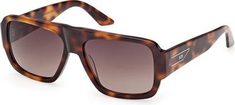 GCDS GD0069 52F Mens Sunglasses Tortoiseshell Size 56