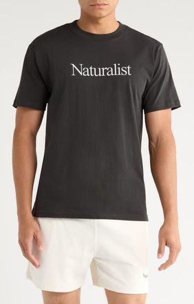 Museum of Peace and Quiet Naturalist Graphic T-Shirt in Black at Nordstrom, Size Medium