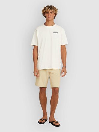 O'Neill Hybrid 19 Shorts