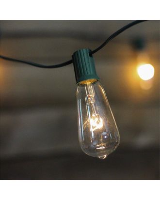 Vickerman 10-Count Clear & Green Transparent St40 Edison Style Patio Lights