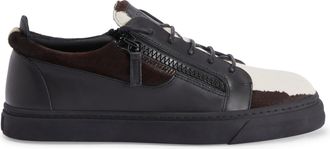 Giuseppe Zanotti Frankie