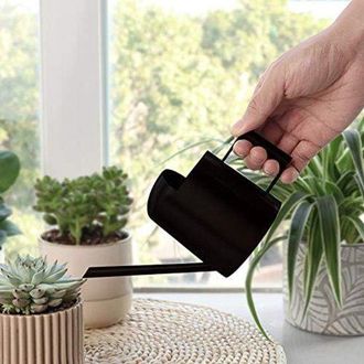 OEM Regadera De Acero Inoxidable Para Plantas De Interior, Acero Inoxidable Duradero, Capacidad De 300 Ml, 1 Unidad, Para Suculentas Y Hierbas