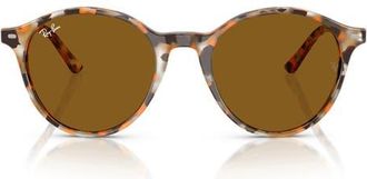 Ray-Ban 53mm Bernard Phantos Round Sunglasses in Havana Grey E Brown /Brown at Nordstrom