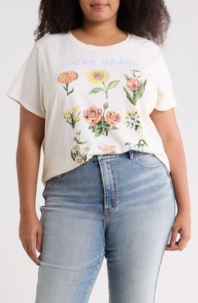 Lucky Brand Floral Graphic T-Shirt in Cream at Nordstrom Rack, Size 1X