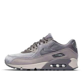 Nike (WMNS) Nike Air Max 90 Deluxe Gunsmoke 898512-007