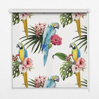 Tulup Tenda A Rullo Interna Per Finestra - Tenda Filtrante Luce - Tenda Privacy - Tenda Decorativa Rettangolare - Rullo Per Interni - (100 Cm X 100 Cm) - Pa