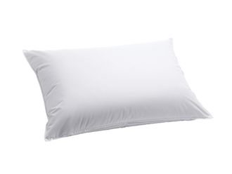 Schubiger M&ouml;bel Kissen Capa Hirse